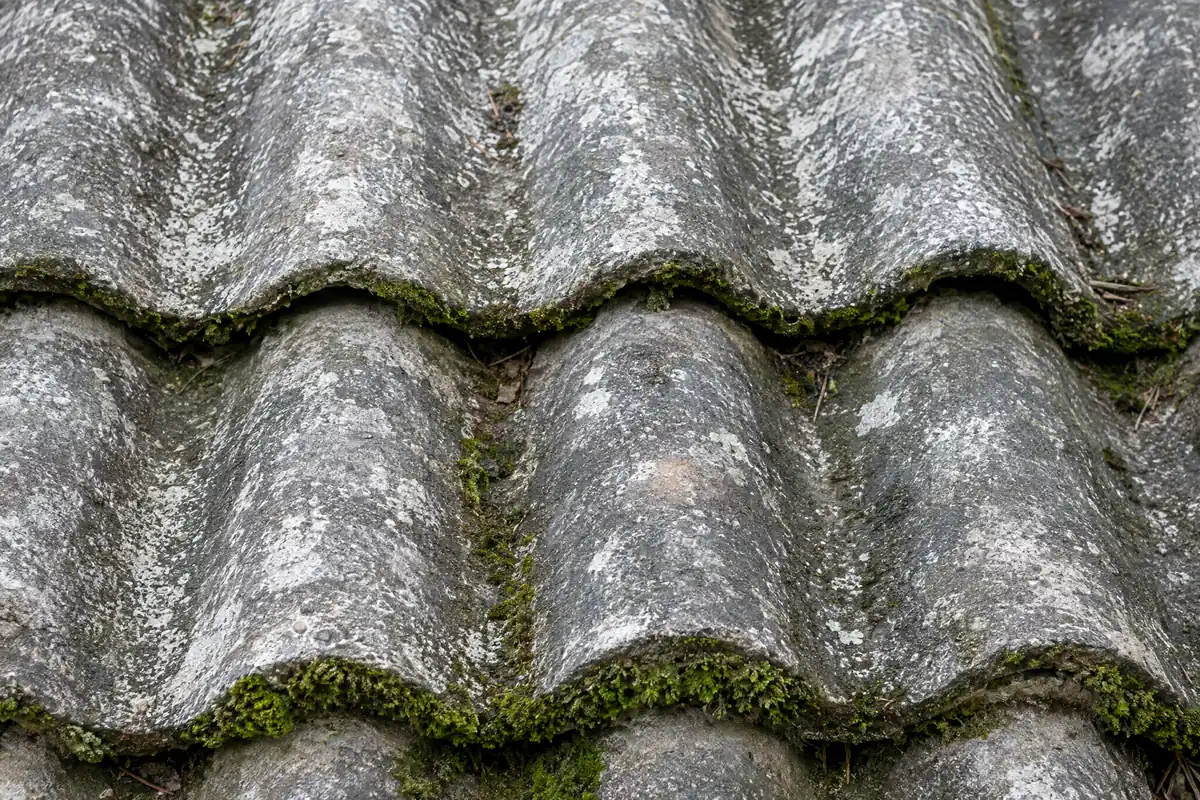 Vybledlá betonová taška s mechem na spodních hranách před renovací
