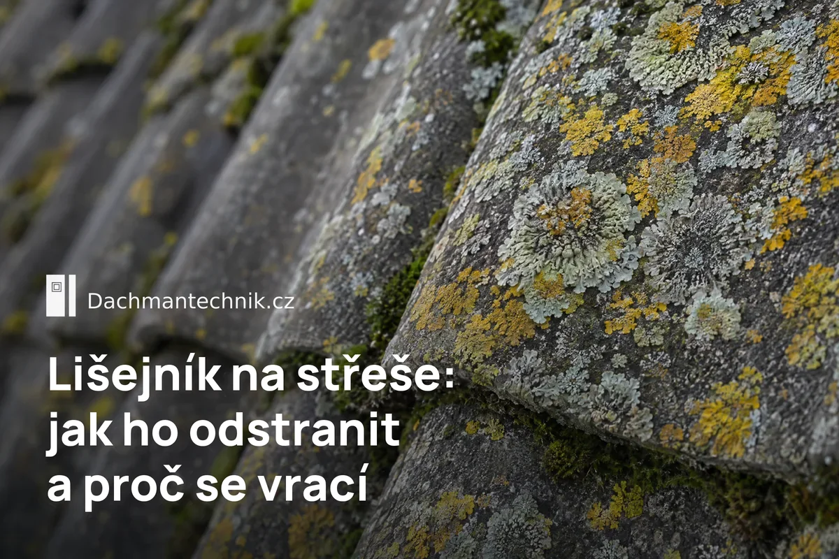 Lišejník a mech na betonových střešních taškách