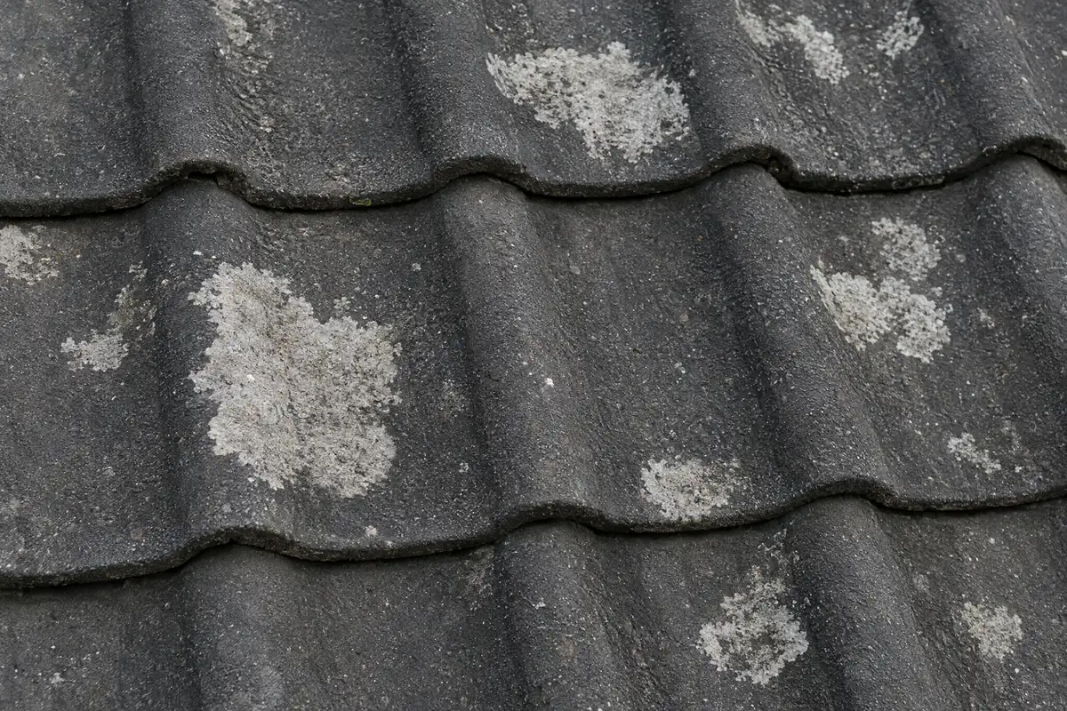 Světlé skvrny po odstraněném lišejníku na betonové tašce