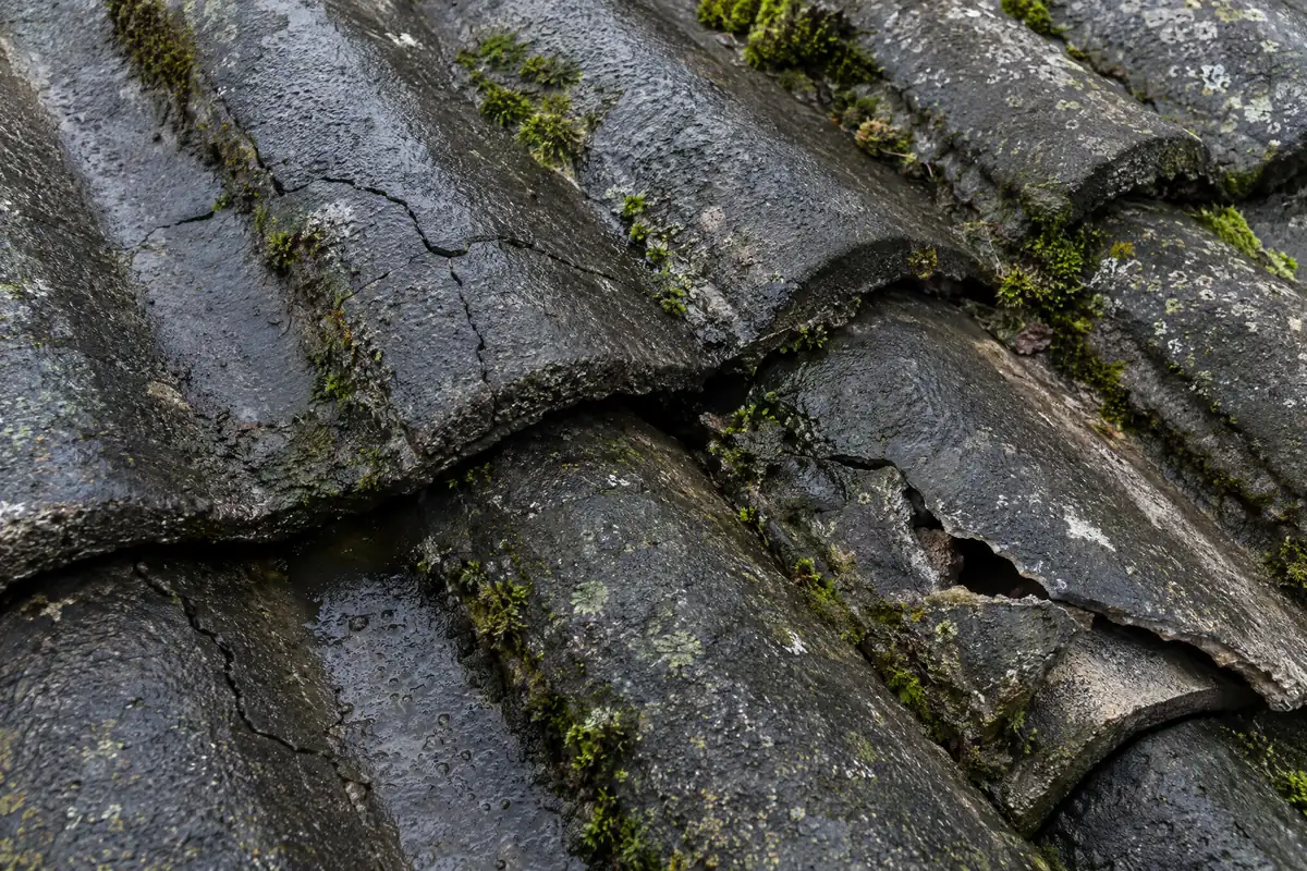 Prasklé a nasáklé střešní tašky, u kterých renovace nátěrem nestačí
