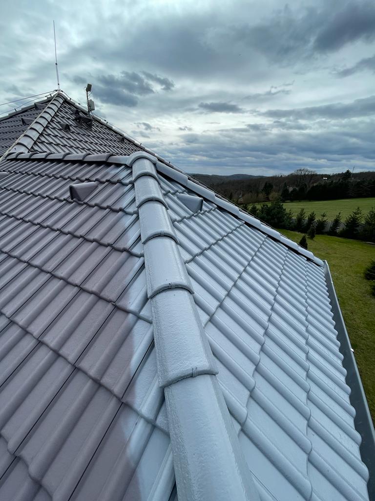Realizace Dachman Technik 73