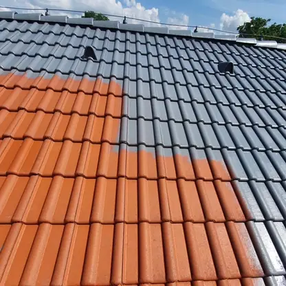 Realizace Dachman Technik 57