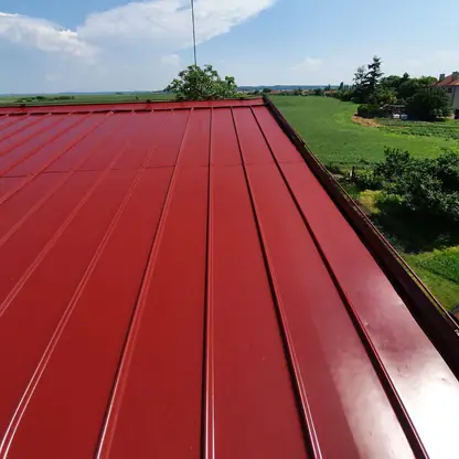 Realizace Dachman Technik 77